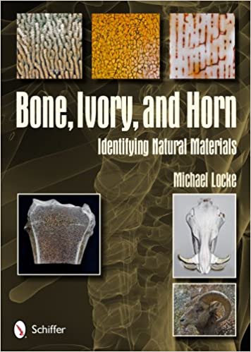 Bone, Ivory, and Horn: Identifying Natural Materials Hardcover