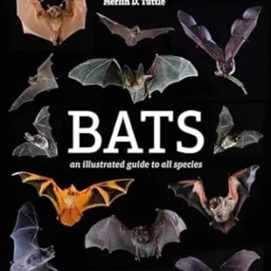 Bats An Illustrated Guide to All Species Hardcover